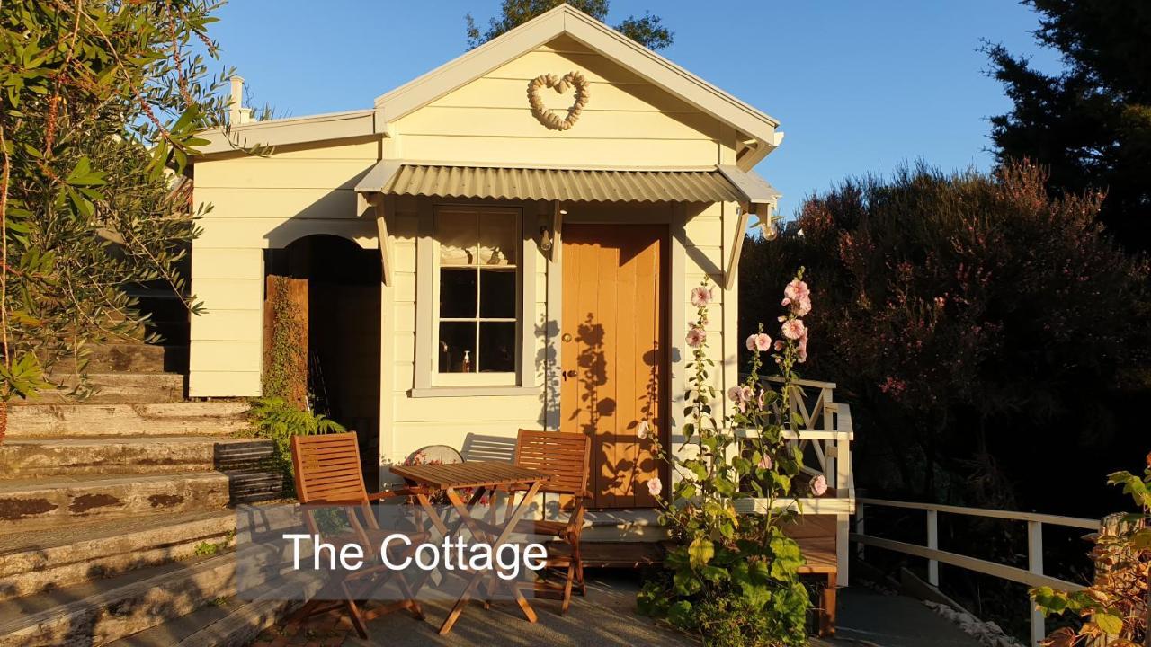 Bluff Hill Bed&Breakfast Napier Exterior foto